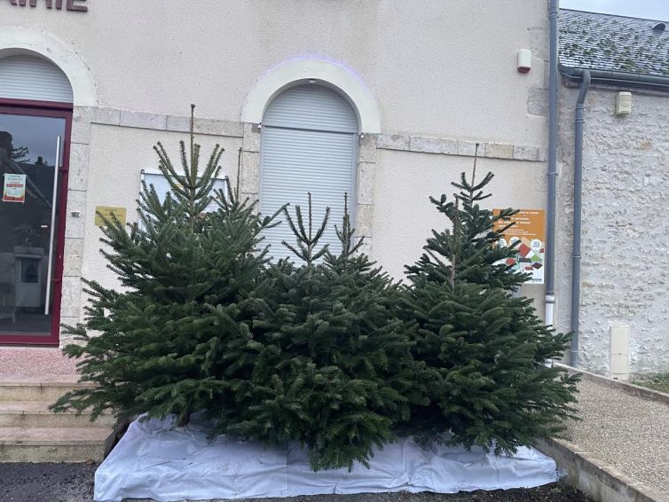 Petites et grandes mains sont invitées à venir décorer les sapins