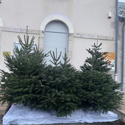 Petites et grandes mains sont invitées à venir décorer les sapins